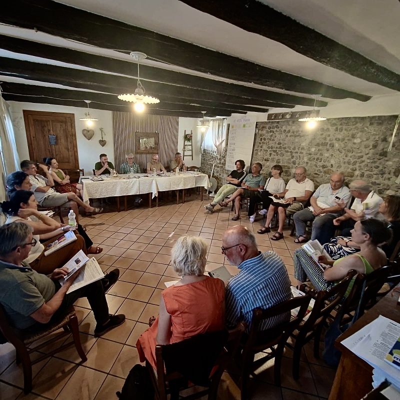 assemblea movi fvg